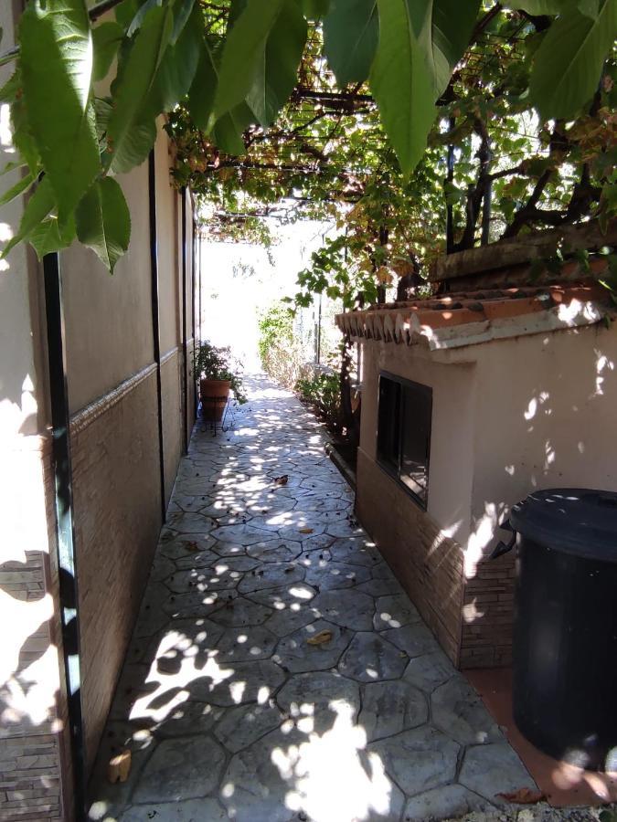 Los Abuelos Setenil De Las Bodegas Extérieur photo